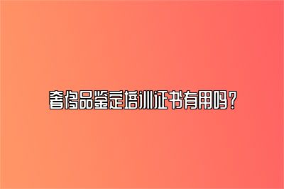 奢侈品鑒定培訓(xùn)證書(shū)有用嗎？