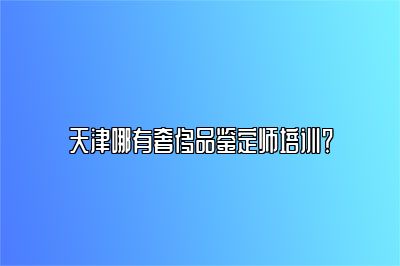 天津哪有奢侈品鑒定師培訓？